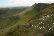 View this image larger
